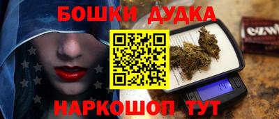 mdpv Гатчина