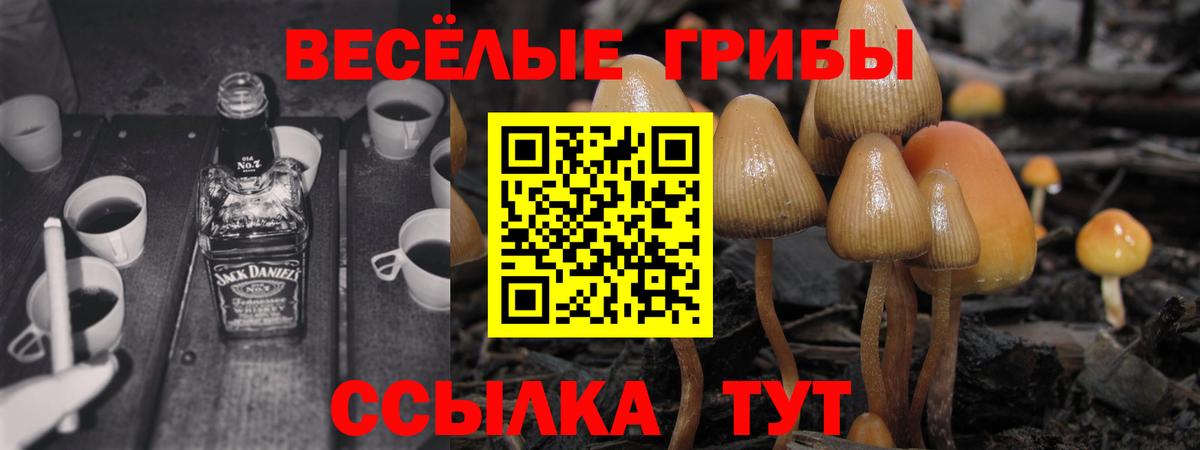 магазин    Псилоцибиновые грибы Psilocybe  Вход с VPN  Менделеевск 